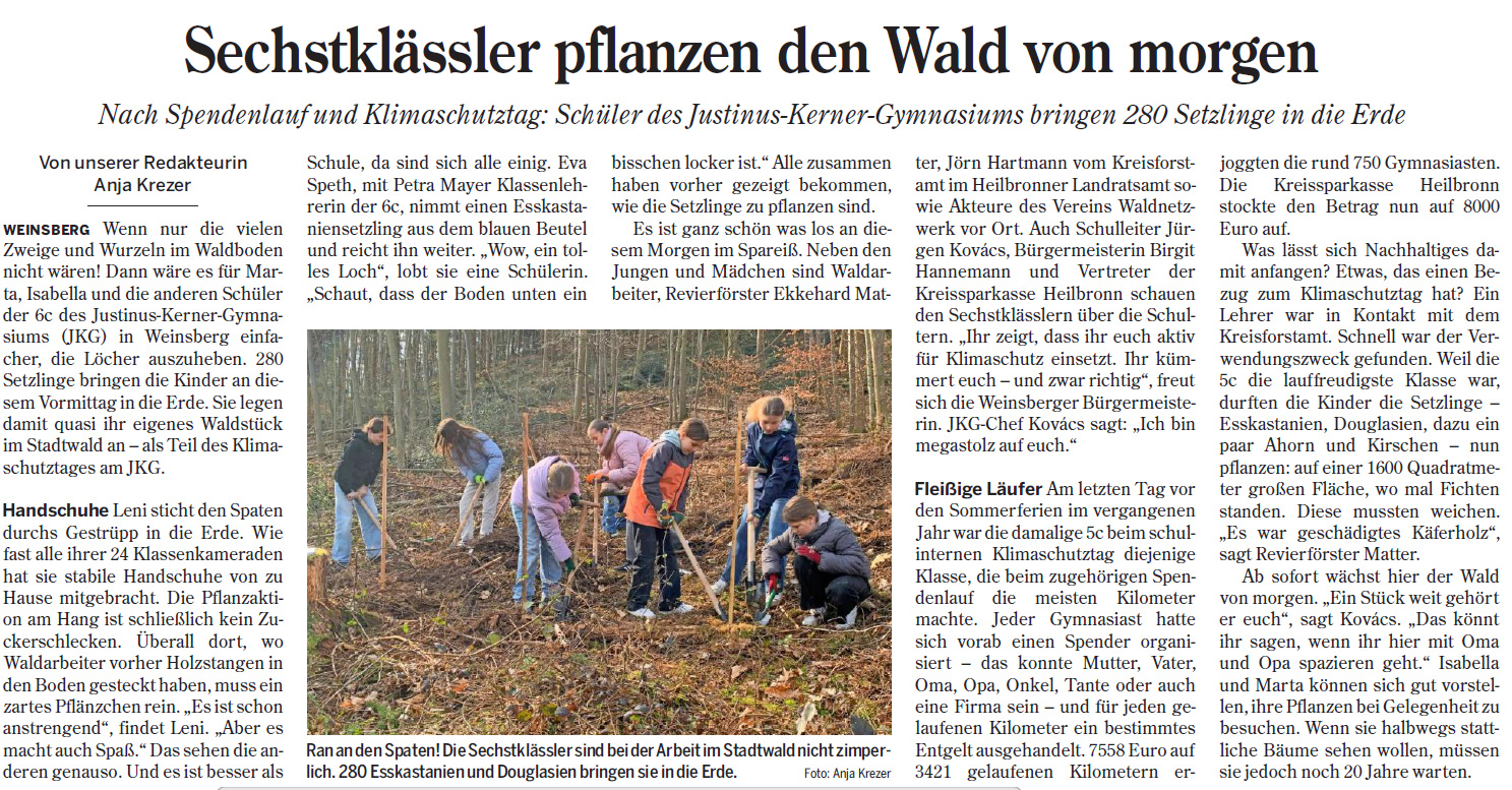 Zeitungsartikel "Sechsklässler pflanzen den Wald von morgen"